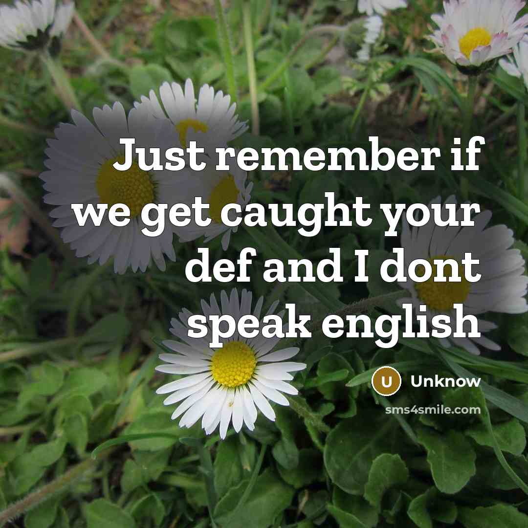“Just remember if we get caught your def and I dont speak english” quote by Unknow