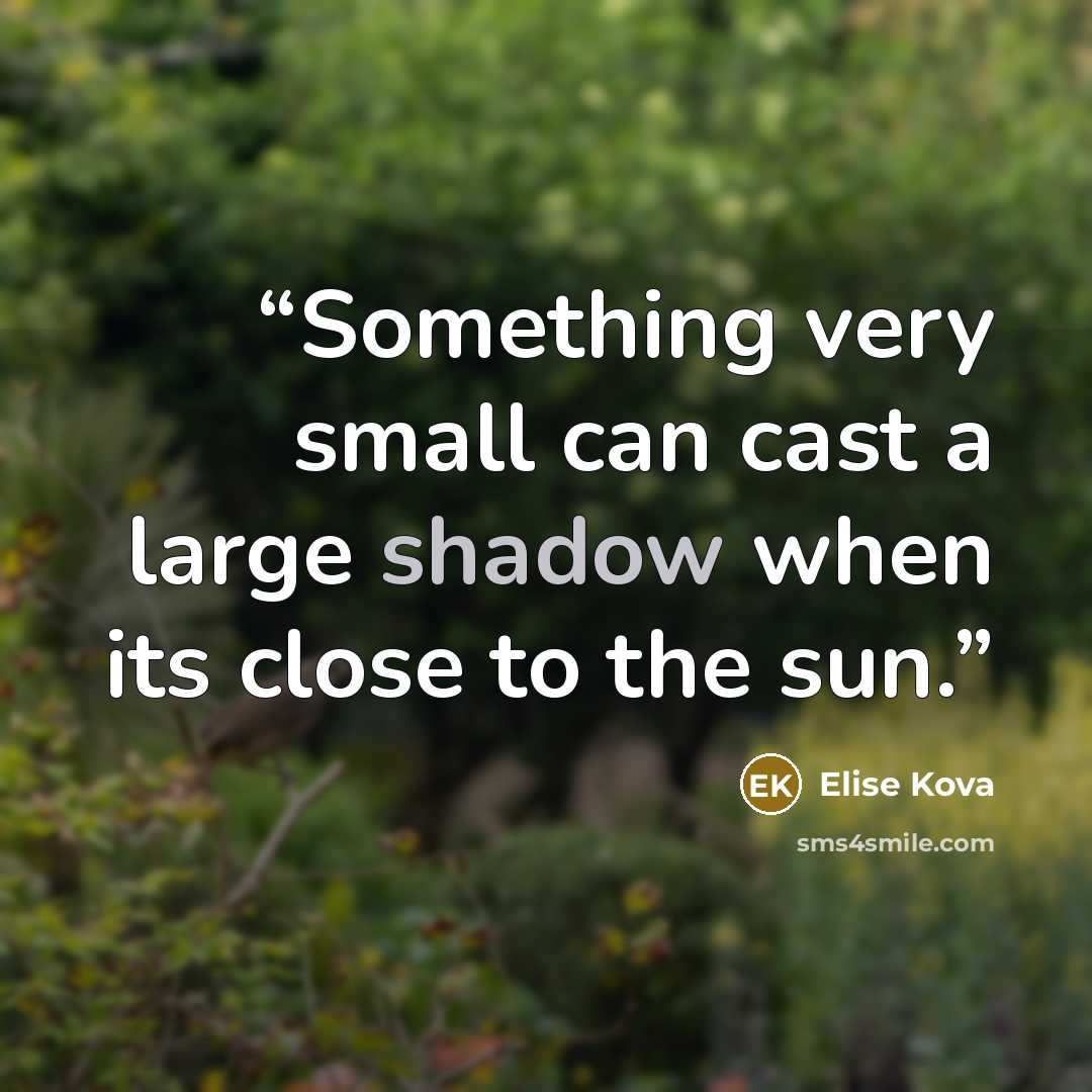 “Something very small can cast a large shadow when its close to the sun.” quote by Elise Kova