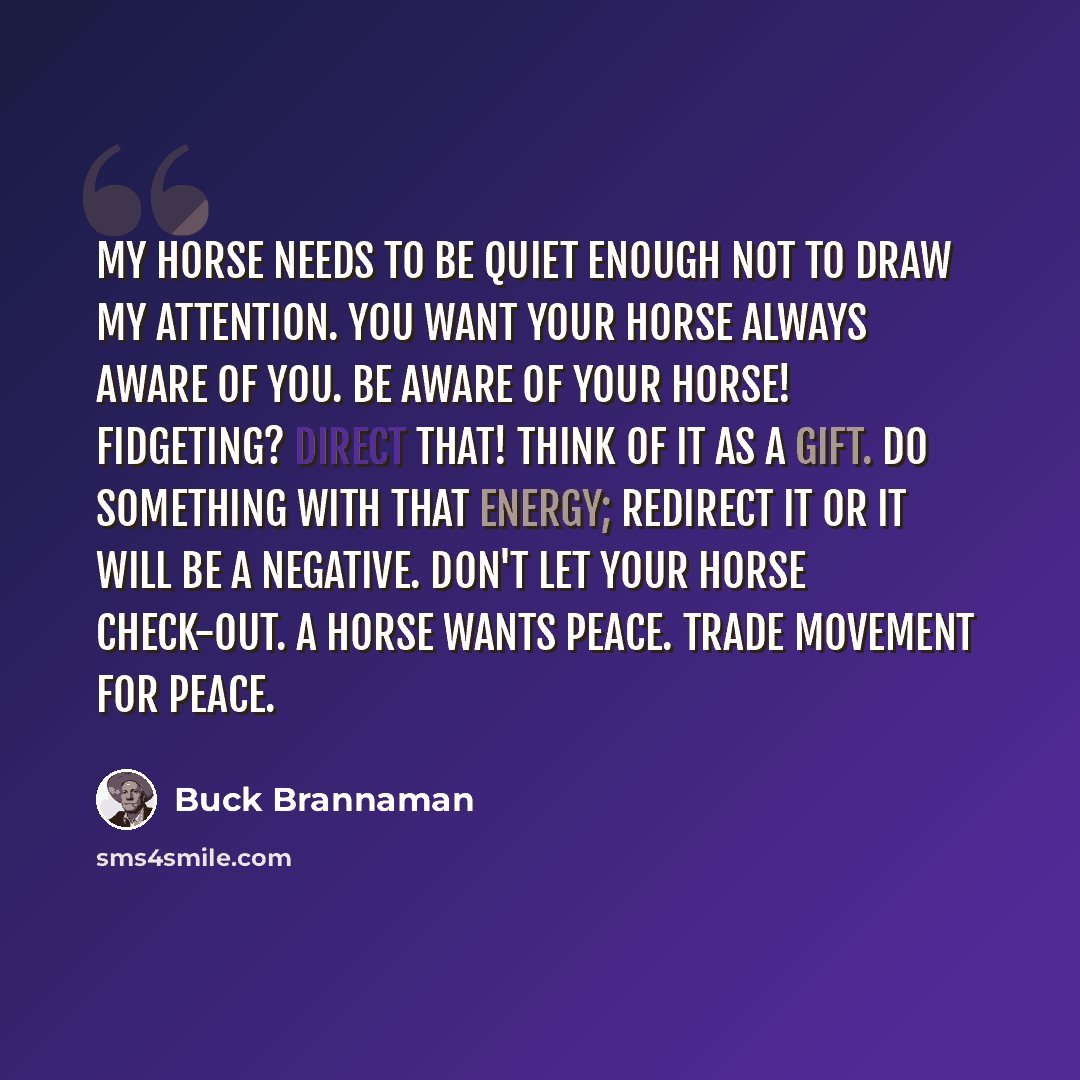 “My horse needs to be quiet enough not to draw my attention. You want your horse always aware of you. Be aware of your horse! Fidgeting? Direct that! Think of it as a gift. Do something with that energy; redirect it or it will be a negative. Don't let your horse check-out. A horse wants peace…” quote by Buck Brannaman