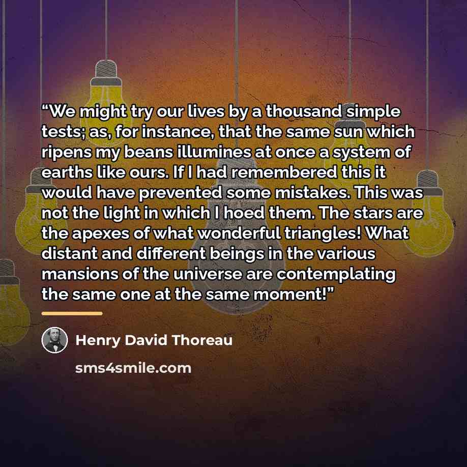 “We might try our lives by a thousand simple tests; as, for instance, that the same sun which ripens my beans illumines at once a system of earths like ours. If I had remembered this it would have prevented some mistakes. This was not the light in which I hoed them. The stars are the apexes of what…” quote by Henry David Thoreau