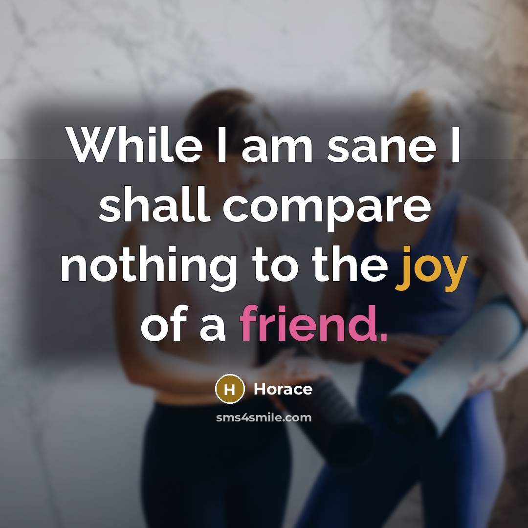 “While I am sane I shall compare nothing to the joy of a friend.” quote by Horace