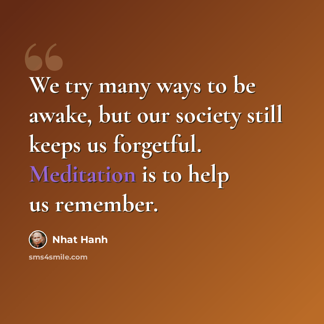 “We try many ways to be awake, but our society still keeps us forgetful. Meditation is to help us remember.” quote by Nhat Hanh