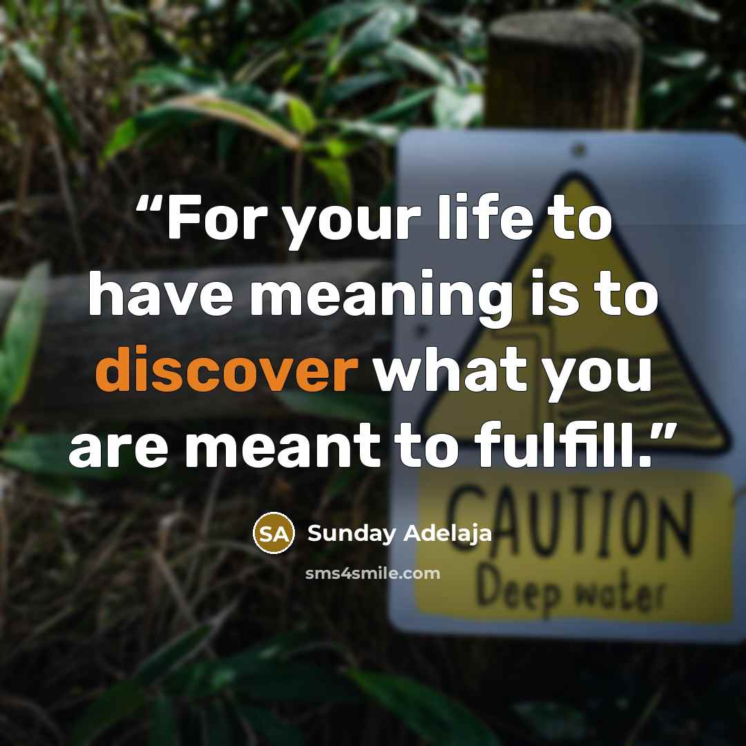 “For your life to have meaning is to discover what you are meant to fulfill.” quote by Sunday Adelaja