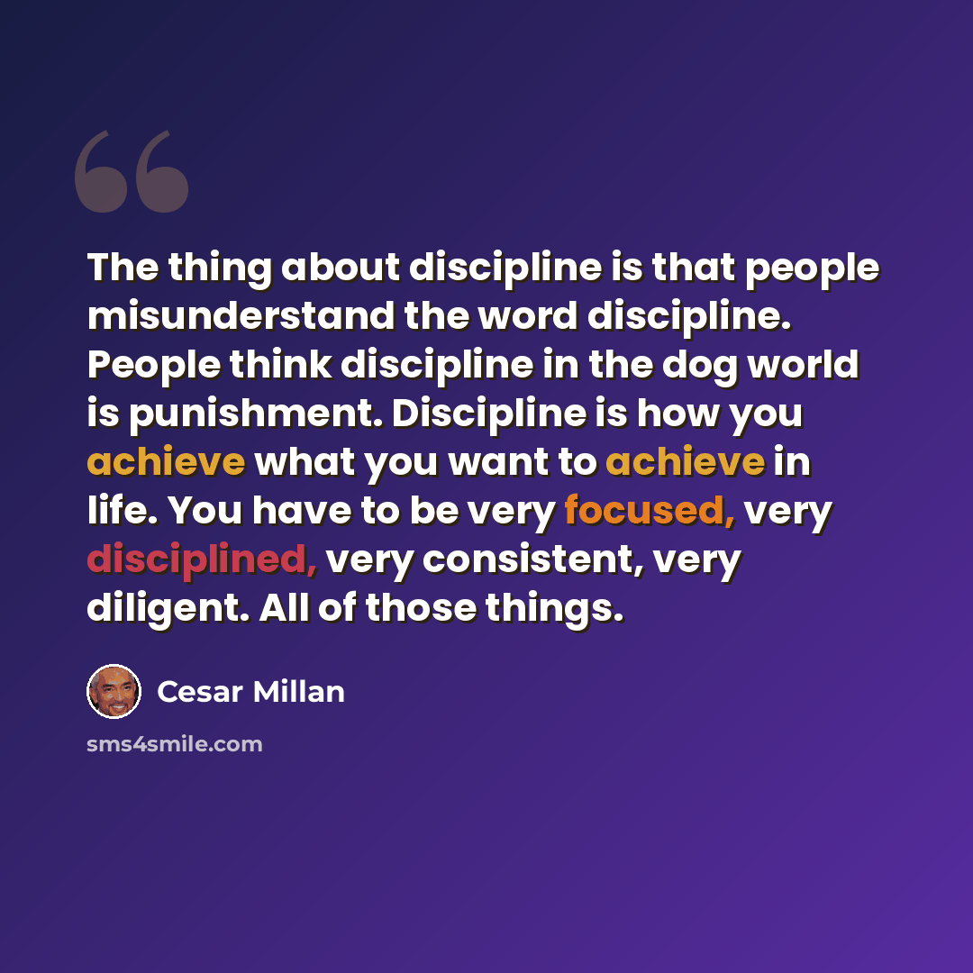 “The thing about discipline is that people misunderstand the word discipline. People think discipline in the dog world is punishment. Discipline is how you achieve what you want to achieve in life. You have to be very focused, very disciplined, very consistent, very diligent. All of those things.” quote by Cesar Millan