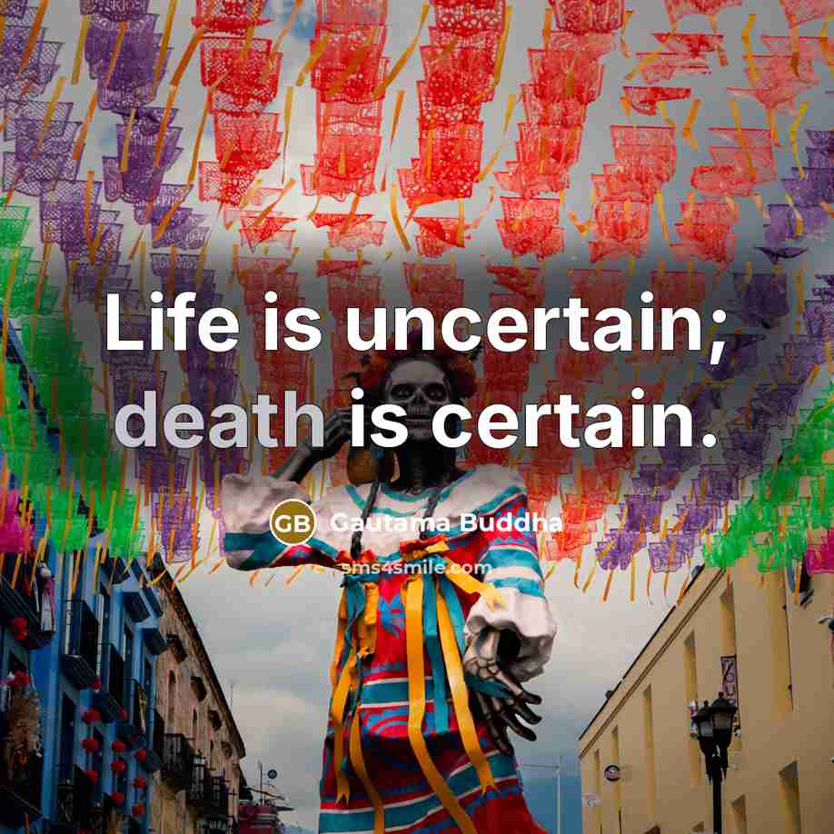 “Life is uncertain; death is certain.” quote by Gautama Buddha