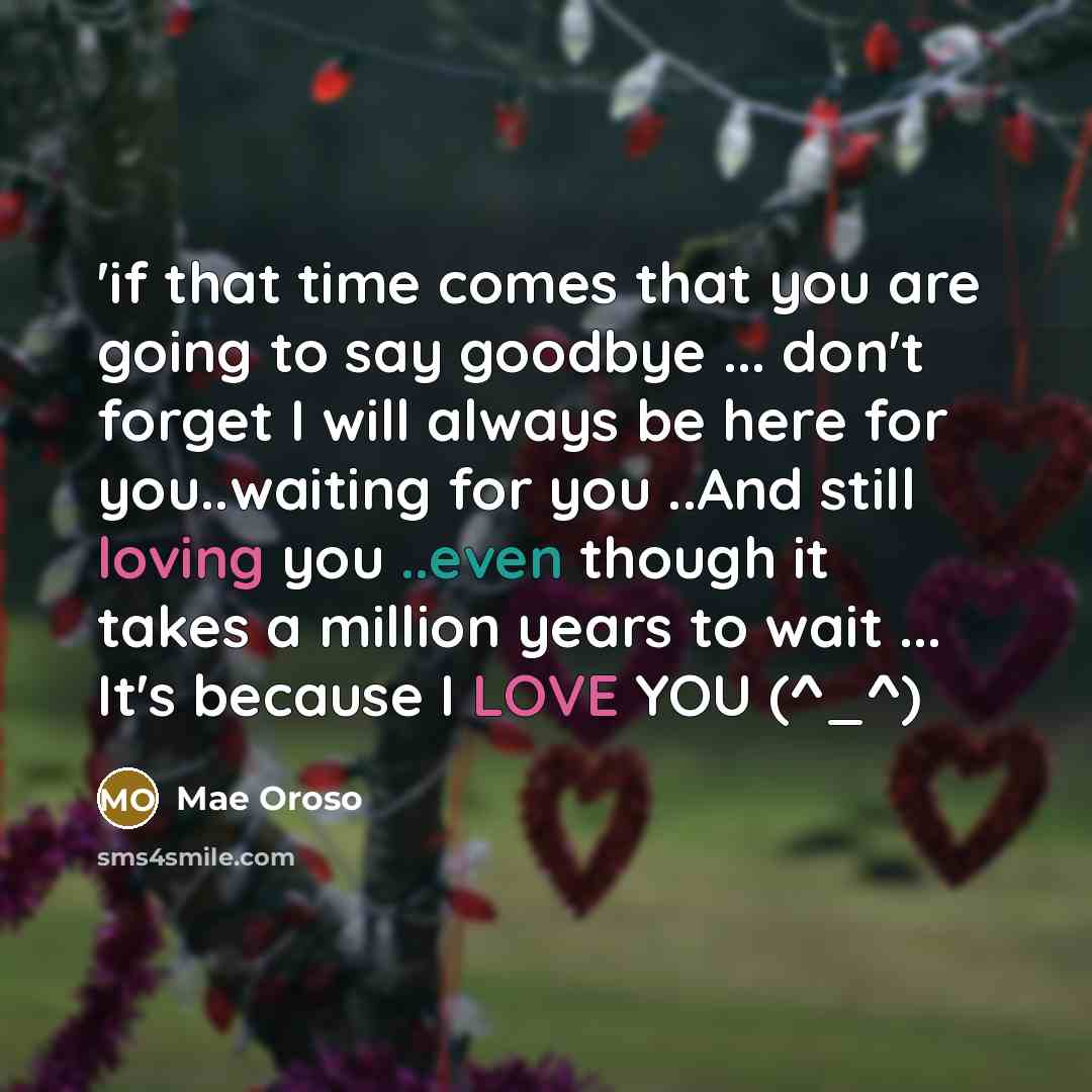 “'if that time comes that you are going to say goodbye ... don't forget I will always be here for you..waiting for you ..And still loving you ..even though it takes a million years to wait ... It's because I LOVE YOU (^_^)” quote by Mae Oroso