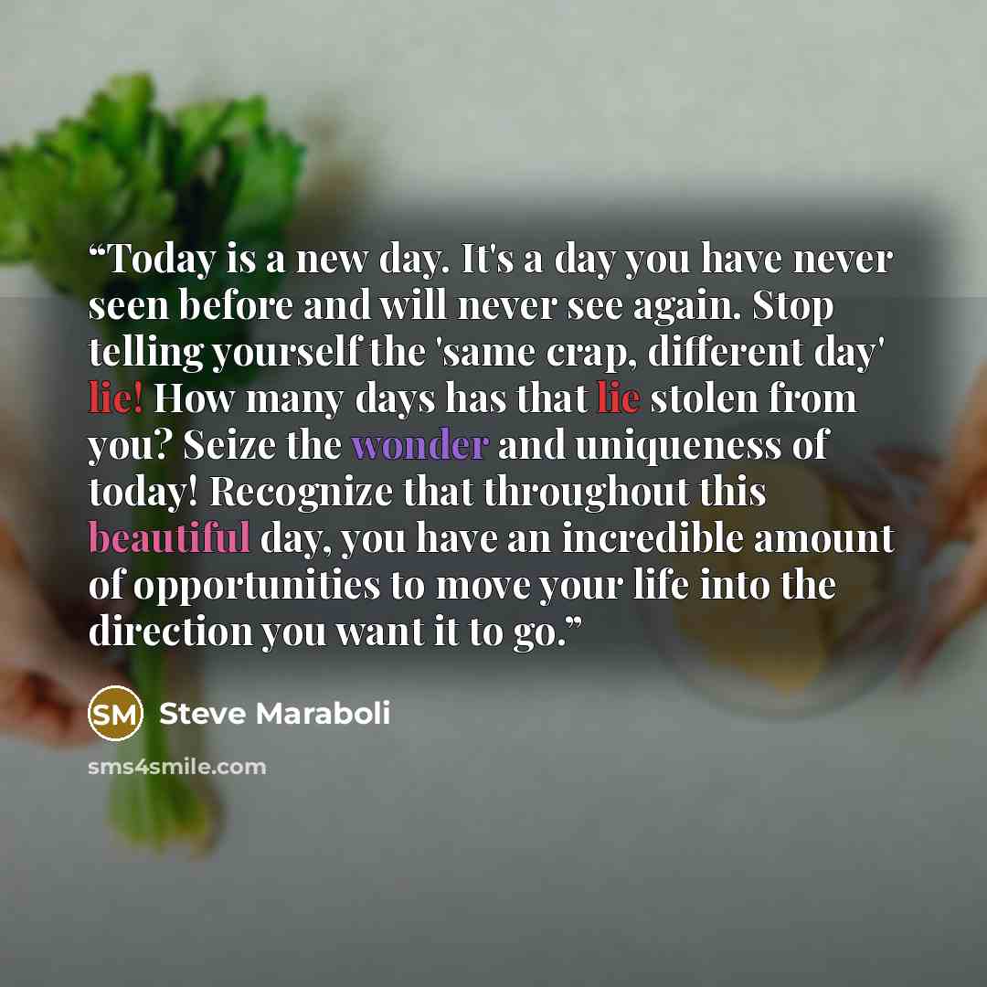 “‎Today is a new day. It's a day you have never seen before and will never see again. Stop telling yourself the 'same crap, different day' lie! How many days has that lie stolen from you? Seize the wonder and uniqueness of today! Recognize that throughout this beautiful day, you have an incredible…” quote by Steve Maraboli