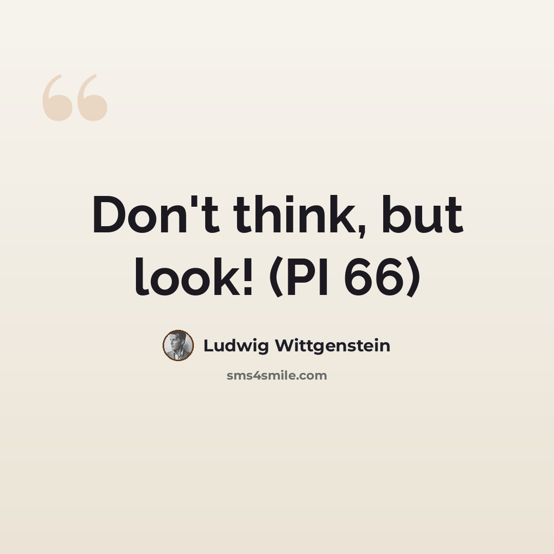 “Don't think, but look! (PI 66)” quote by Ludwig Wittgenstein