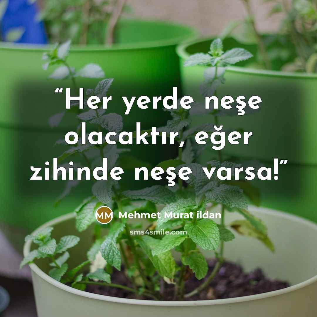 “Her yerde neşe olacaktır, eğer zihinde neşe varsa!” quote by Mehmet Murat ildan