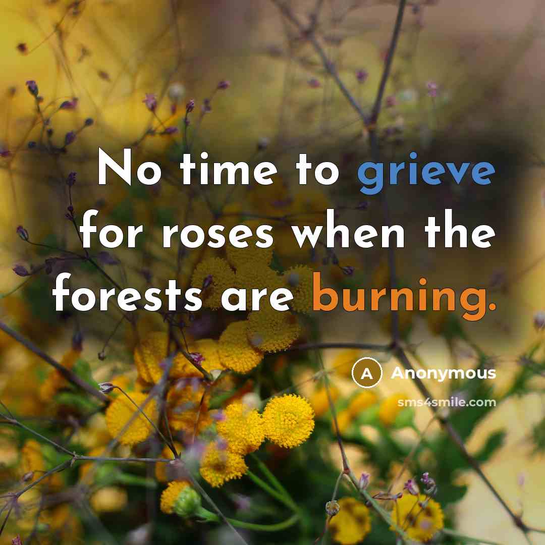 “No time to grieve for roses when the forests are burning.” quote by Anonymous