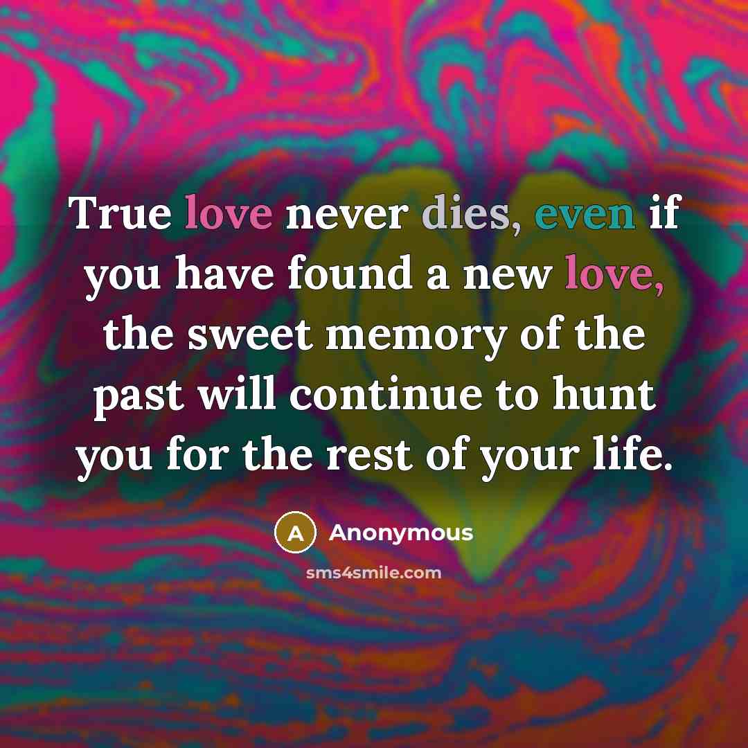 “True love never dies, even if you have found a new love, the sweet memory of the past will continue to hunt you for the rest of your life.” quote by Anonymous