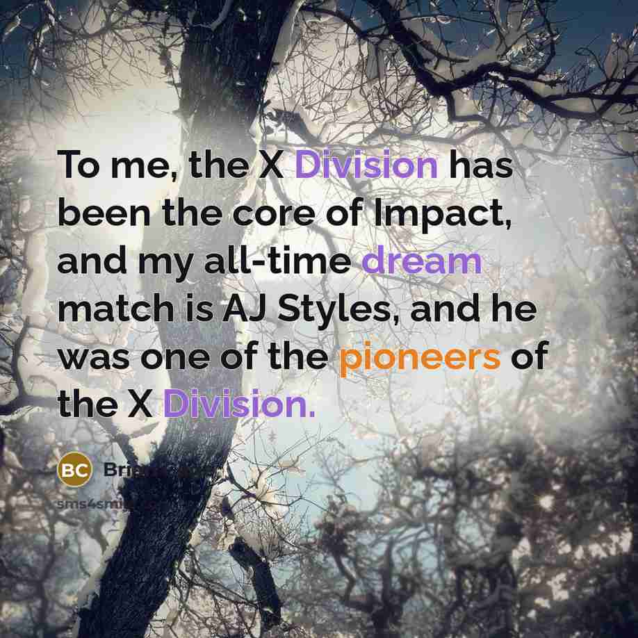 “To me, the X Division has been the core of Impact, and my all-time dream match is AJ Styles, and he was one of the pioneers of the X Division.” quote by Brian Cage