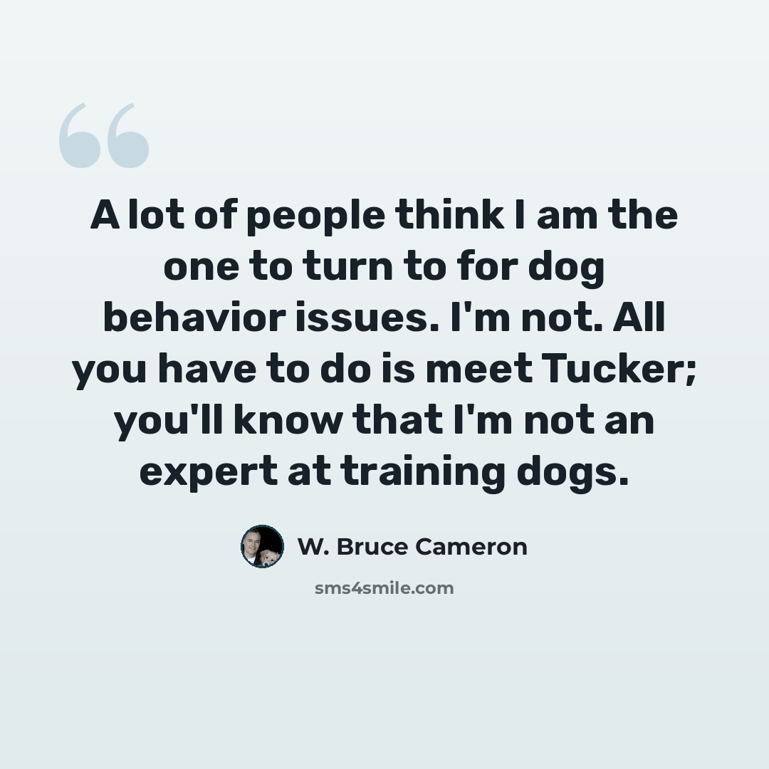“A lot of people think I am the one to turn to for dog behavior issues. I'm not. All you have to do is meet Tucker; you'll know that I'm not an expert at training dogs.” quote by W. Bruce Cameron