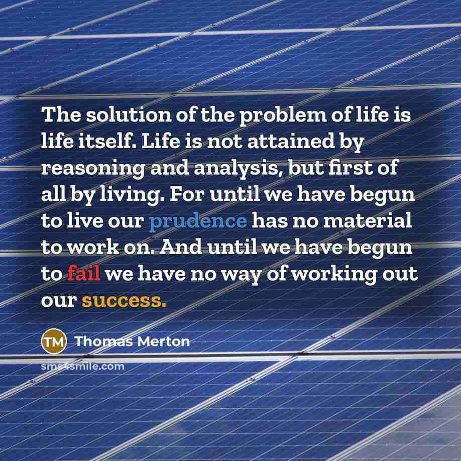 “The solution of the problem of life is life itself. Life is not attained by reasoning and analysis, but first of all by living. For until we have begun to live our prudence has no material to work on. And until we have begun to fail we have no way of working out our success.” quote by Thomas Merton