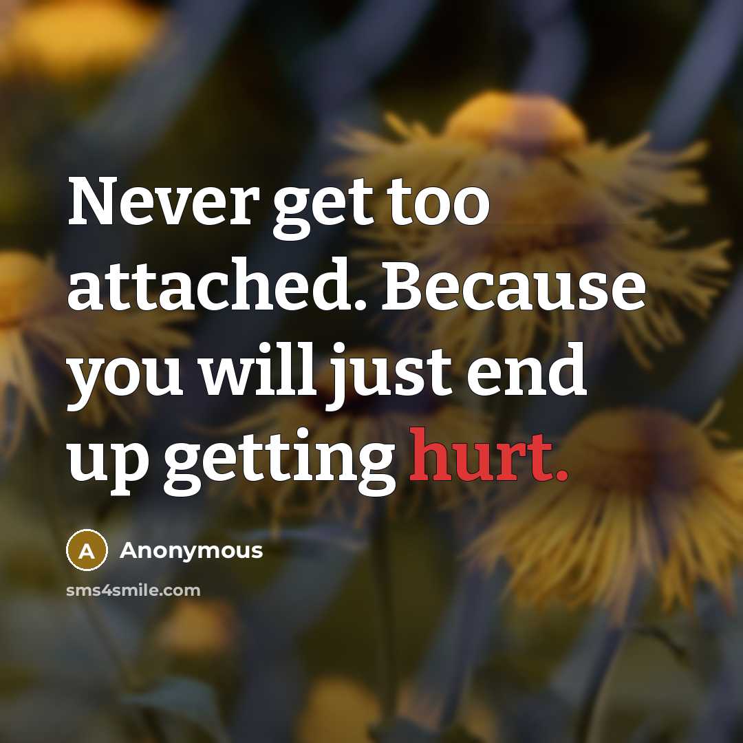 “Never get too attached. Because you will just end up getting hurt.” quote by Anonymous