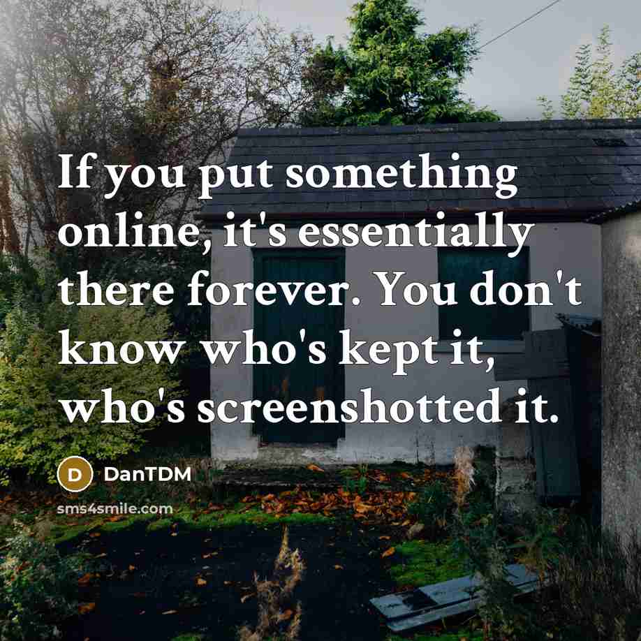 “If you put something online, it's essentially there forever. You don't know who's kept it, who's screenshotted it.” quote by DanTDM