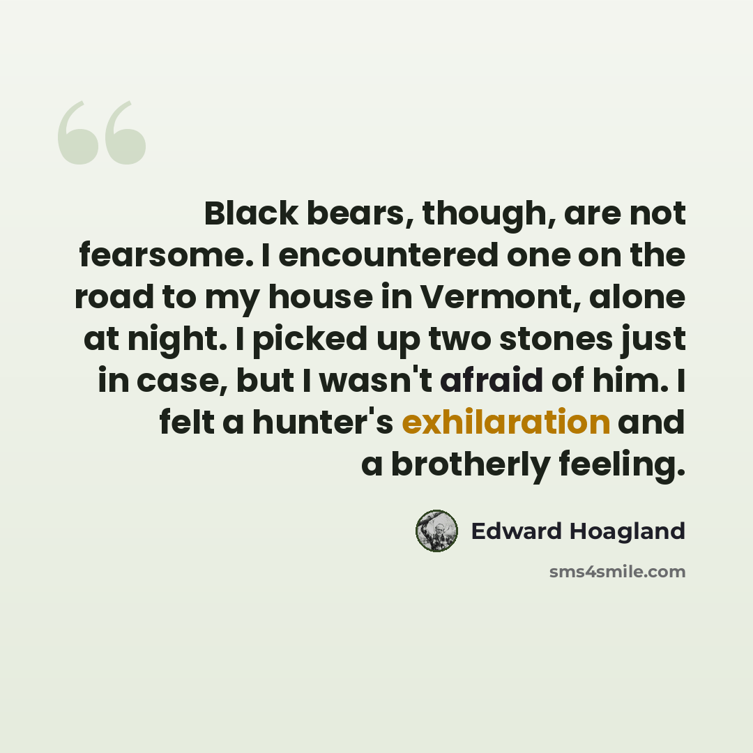 “Black bears, though, are not fearsome. I encountered one on the road to my house in Vermont, alone at night. I picked up two stones just in case, but I wasn't afraid of him. I felt a hunter's exhilaration and a brotherly feeling.” quote by Edward Hoagland