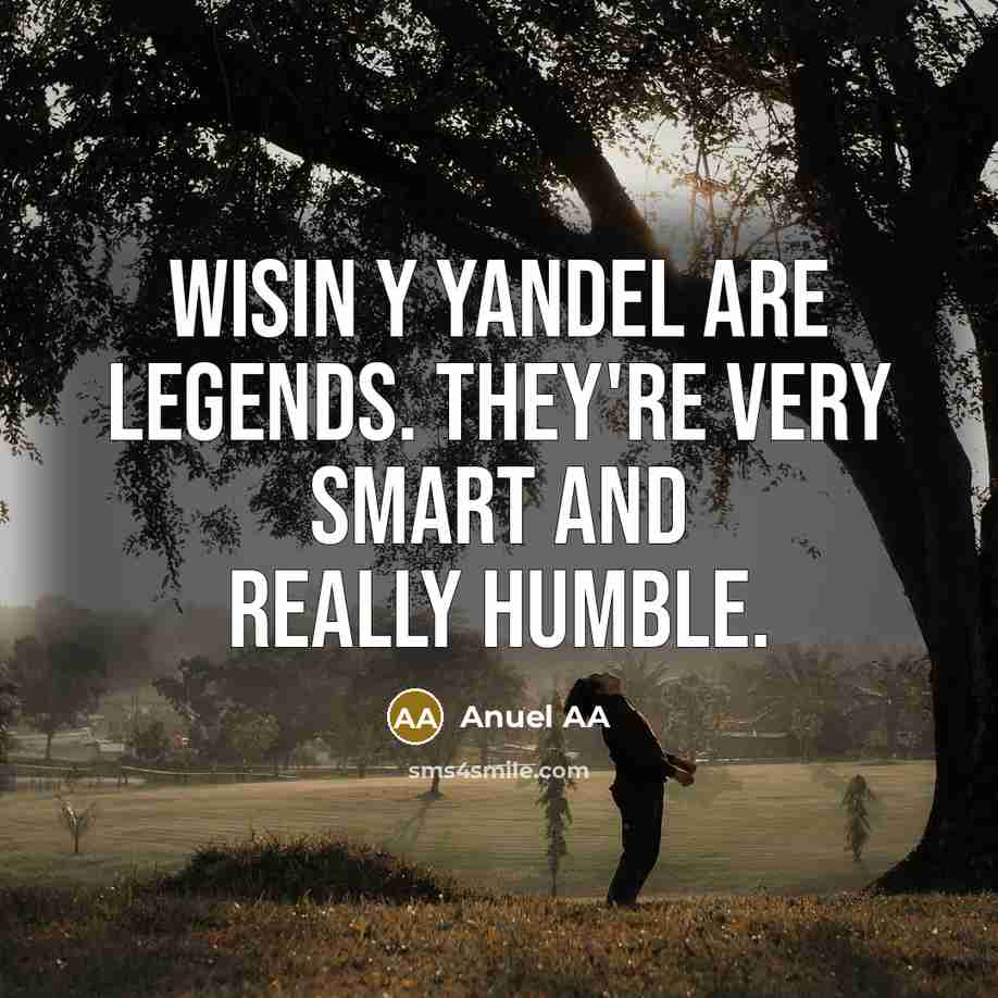 “Wisin Y Yandel are legends. They're very smart and really humble.” quote by Anuel AA