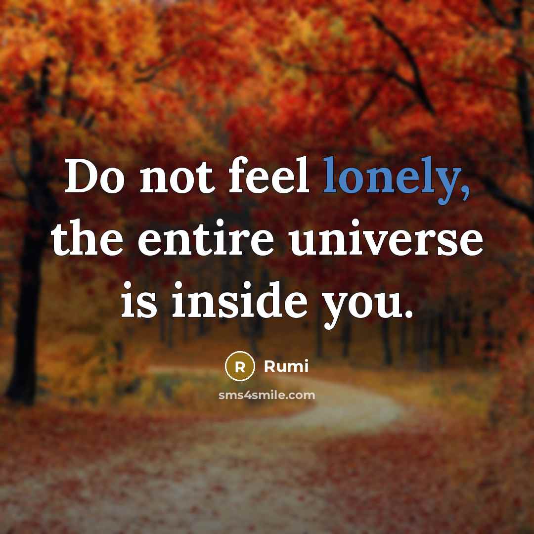 “Do not feel lonely, the entire universe is inside you.” quote by Rumi