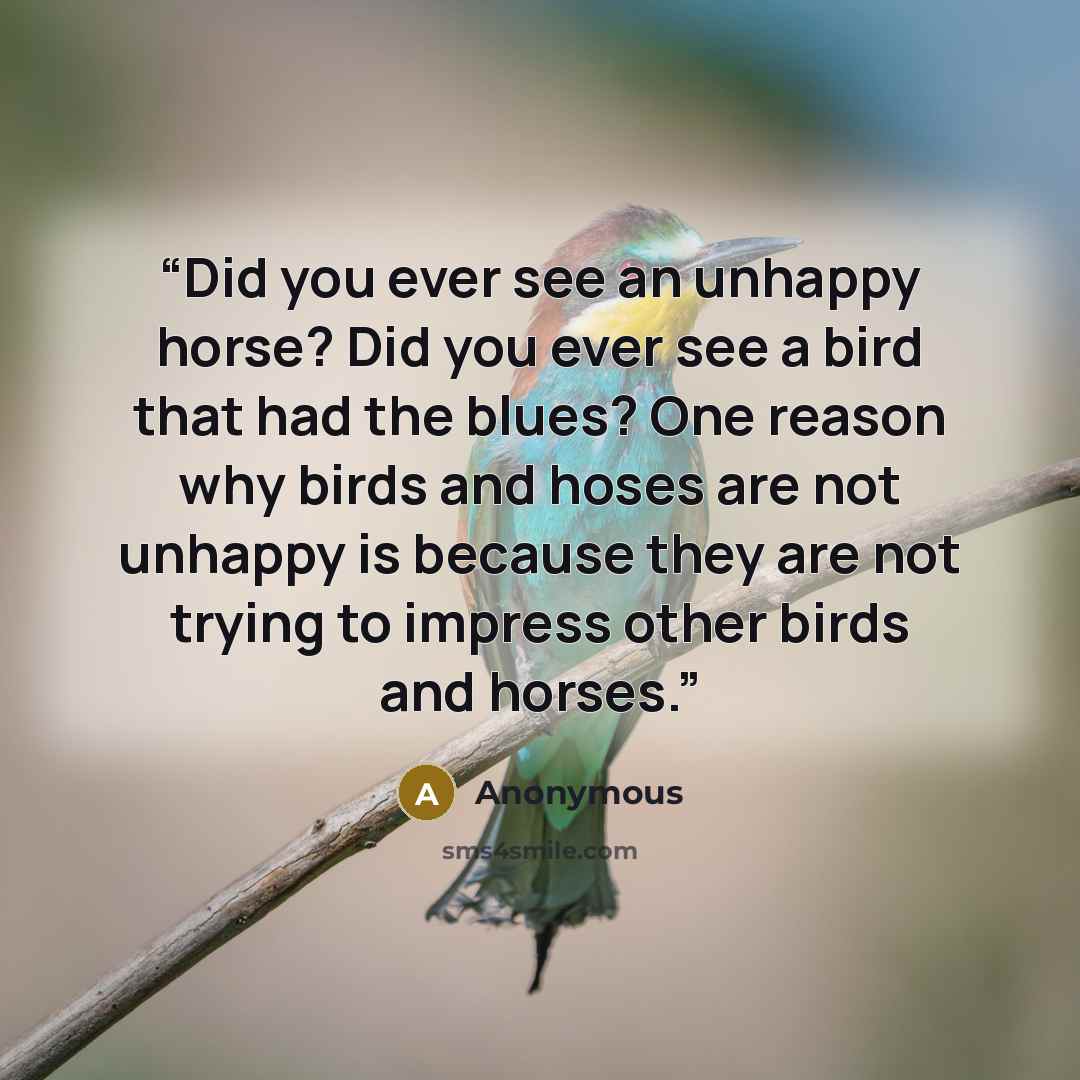 “Did you ever see an unhappy horse? Did you ever see a bird that had the blues? One reason why birds and hoses are not unhappy is because they are not trying to impress other birds and horses.” quote by Anonymous