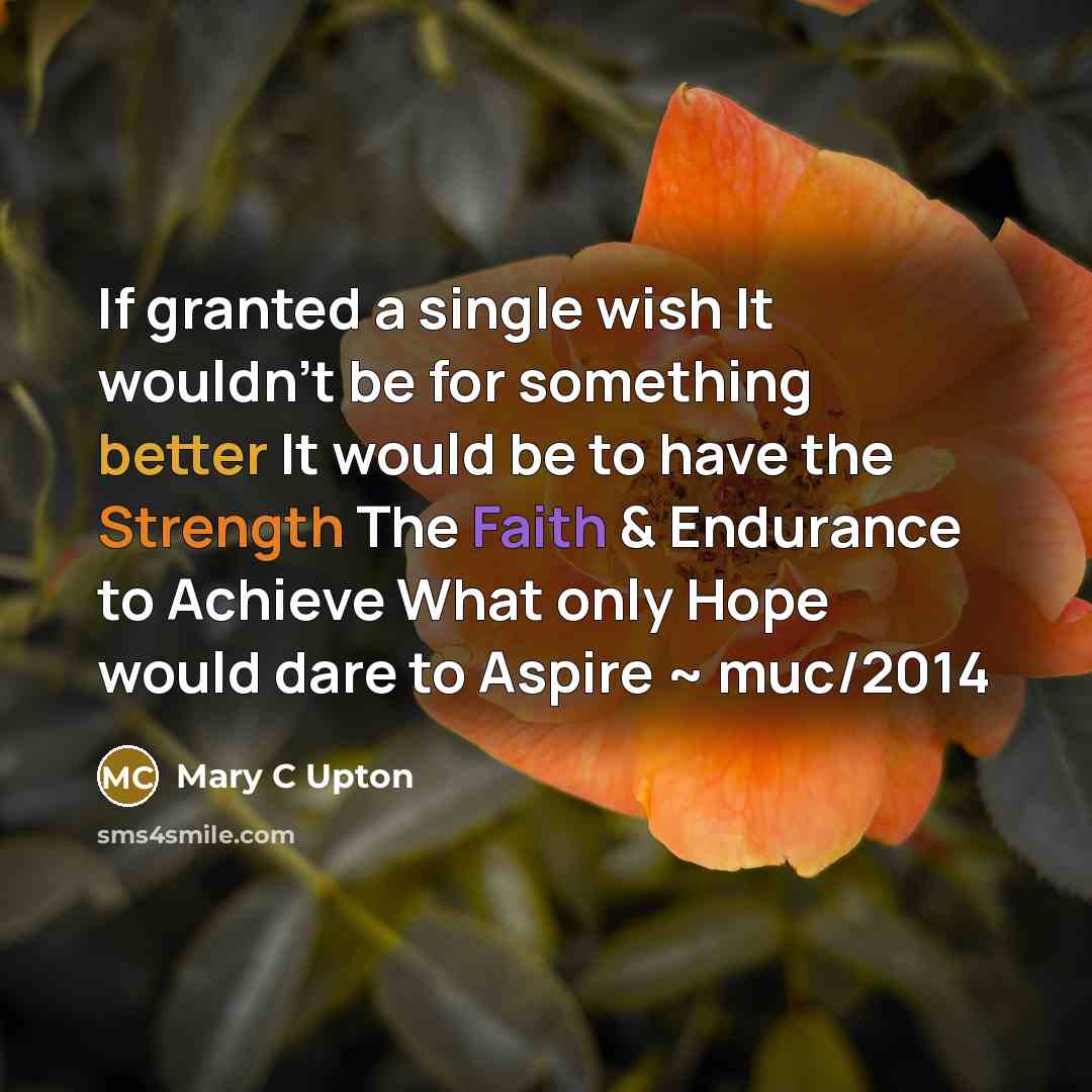 “If granted a single wish It wouldn't be for something better It would be to have the Strength The Faith & Endurance to Achieve What only Hope would dare to Aspire ~ muc/2014” quote by Mary C Upton