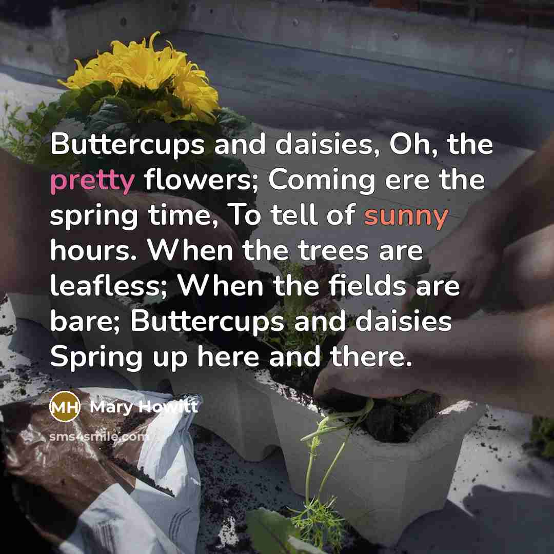 “Buttercups and daisies, Oh, the pretty flowers; Coming ere the spring time, To tell of sunny hours. When the trees are leafless; When the fields are bare; Buttercups and daisies Spring up here and there.” quote by Mary Howitt