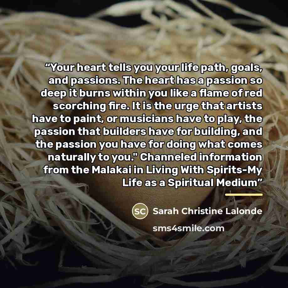 “Your heart tells you your life path, goals, and passions. The heart has a passion so deep it burns within you like a flame of red scorching fire. It is the urge that artists have to paint, or musicians have to play, the passion that builders have for building, and the passion you have for doing…” quote by Sarah Christine Lalonde
