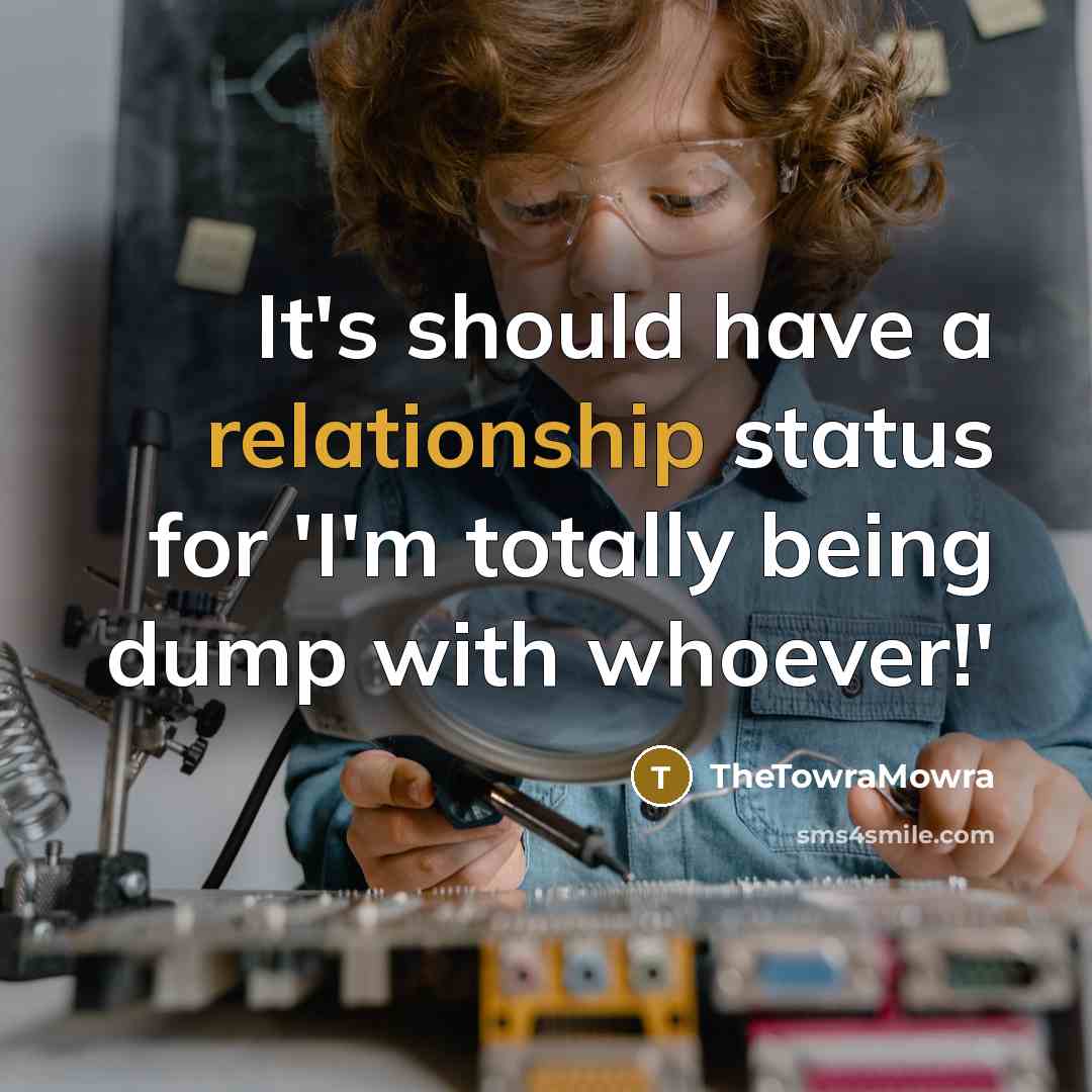 “It's should have a relationship status for 'I'm totally being dump with whoever!'” quote by TheTowraMowra
