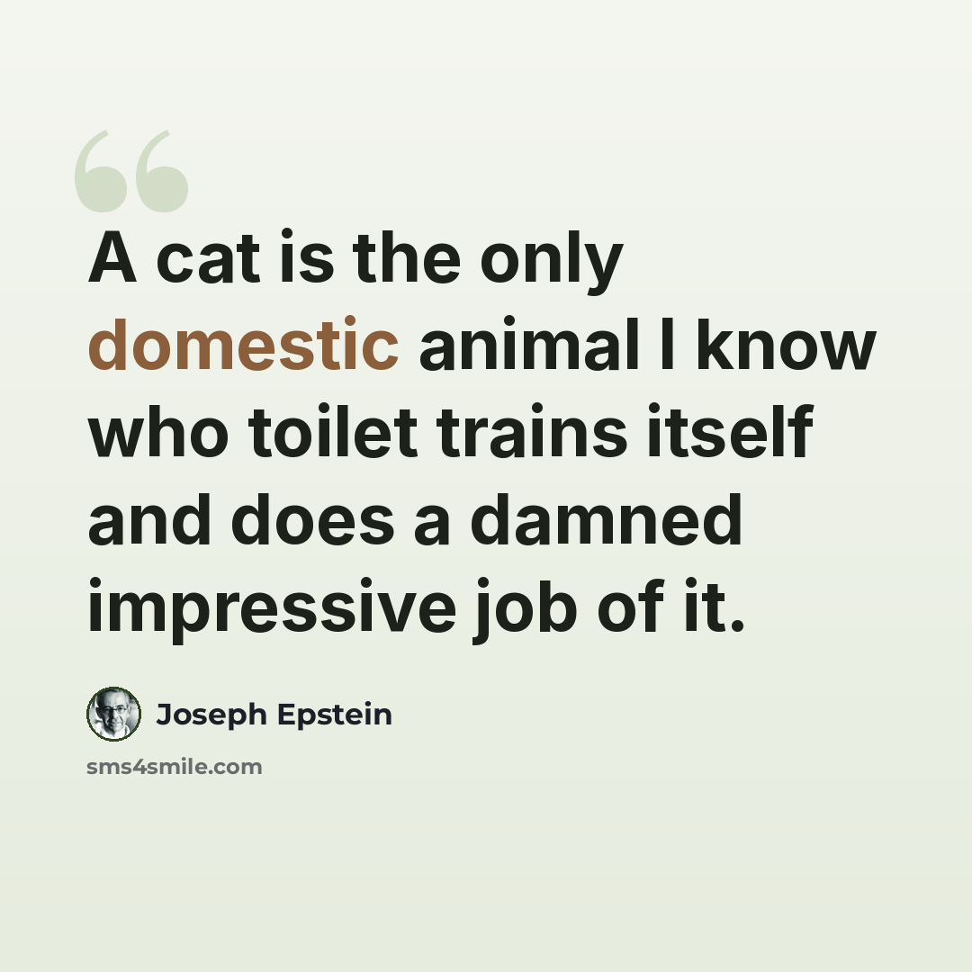 “A cat is the only domestic animal I know who toilet trains itself and does a damned impressive job of it.” quote by Joseph Epstein