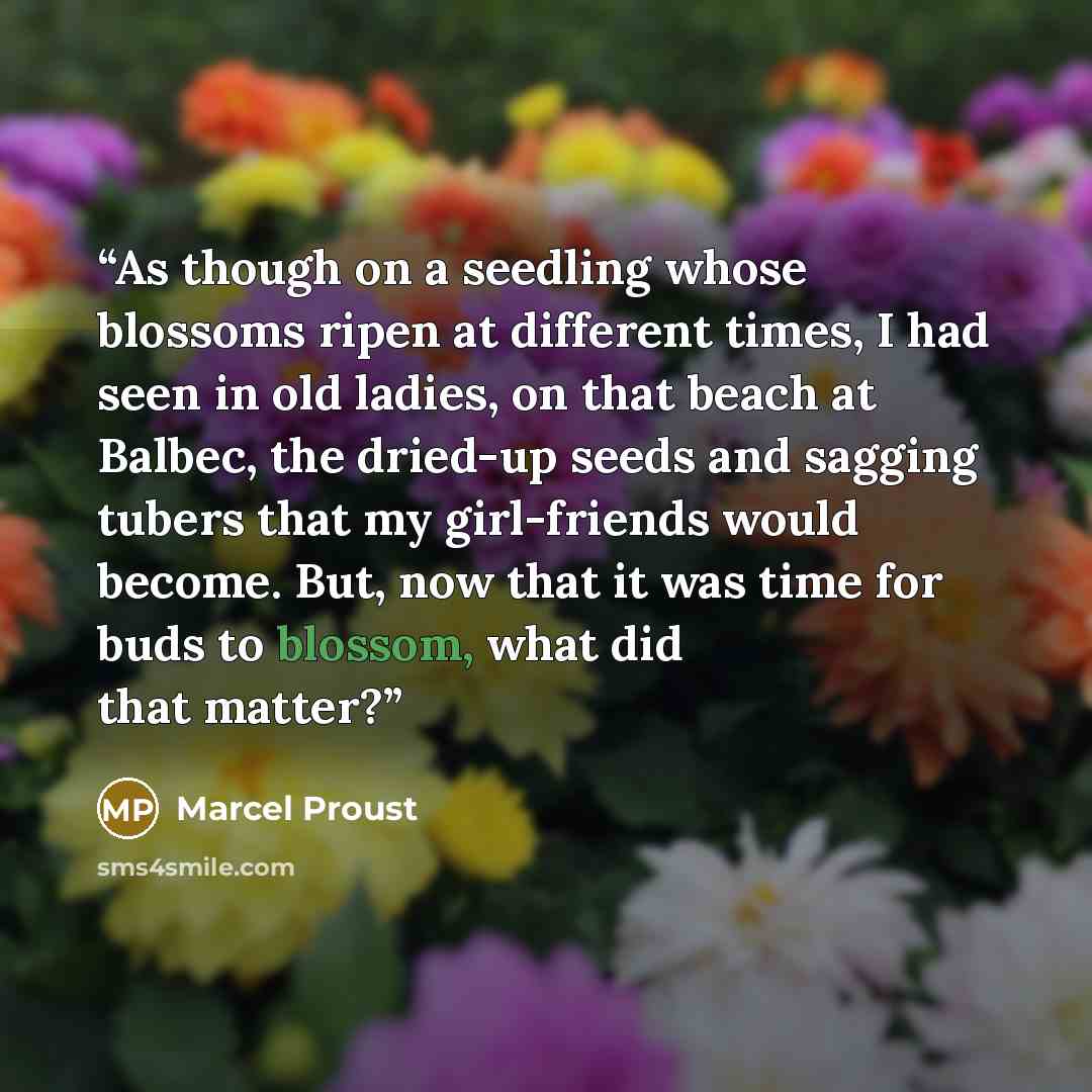 “As though on a seedling whose blossoms ripen at different times, I had seen in old ladies, on that beach at Balbec, the dried-up seeds and sagging tubers that my girl-friends would become. But, now that it was time for buds to blossom, what did that matter?” quote by Marcel Proust