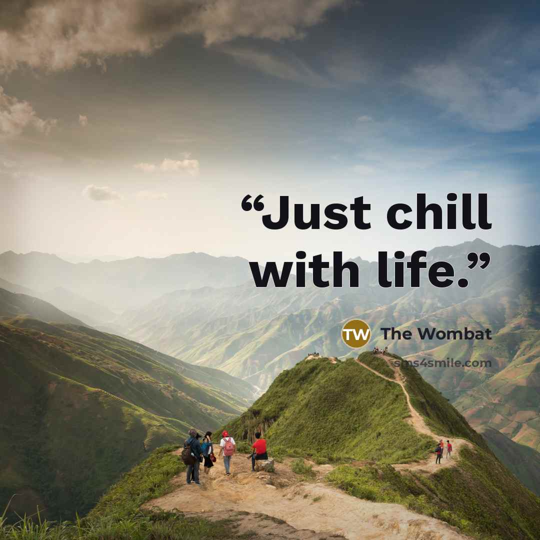 “Just chill with life.” quote by The Wombat