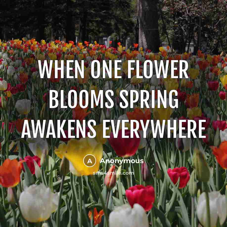 “When one flower blooms spring awakens everywhere” quote by Anonymous
