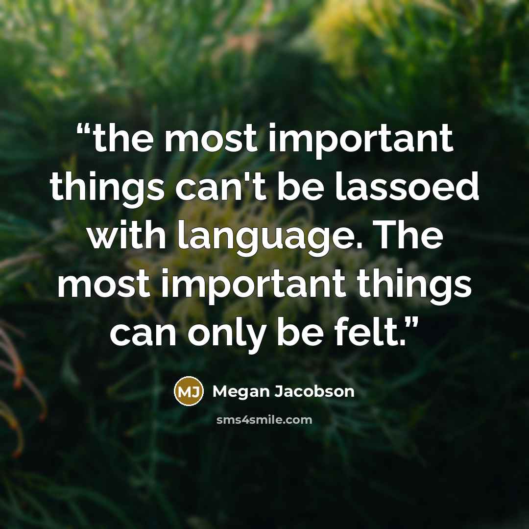 “the most important things can't be lassoed with language. The most important things can only be felt.” quote by Megan Jacobson