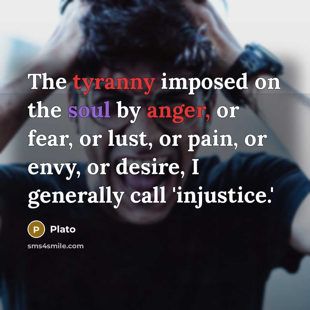 “The tyranny imposed on the soul by anger, or fear, or lust, or pain, or envy, or desire, I generally call 'injustice.'” quote by Plato