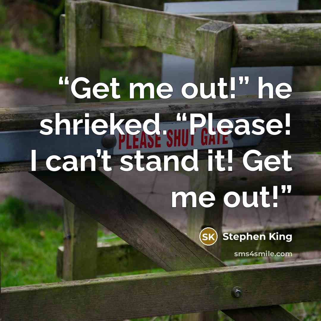 “Get me out!” he shrieked. “Please! I can’t stand it! Get me out!” quote by Stephen King