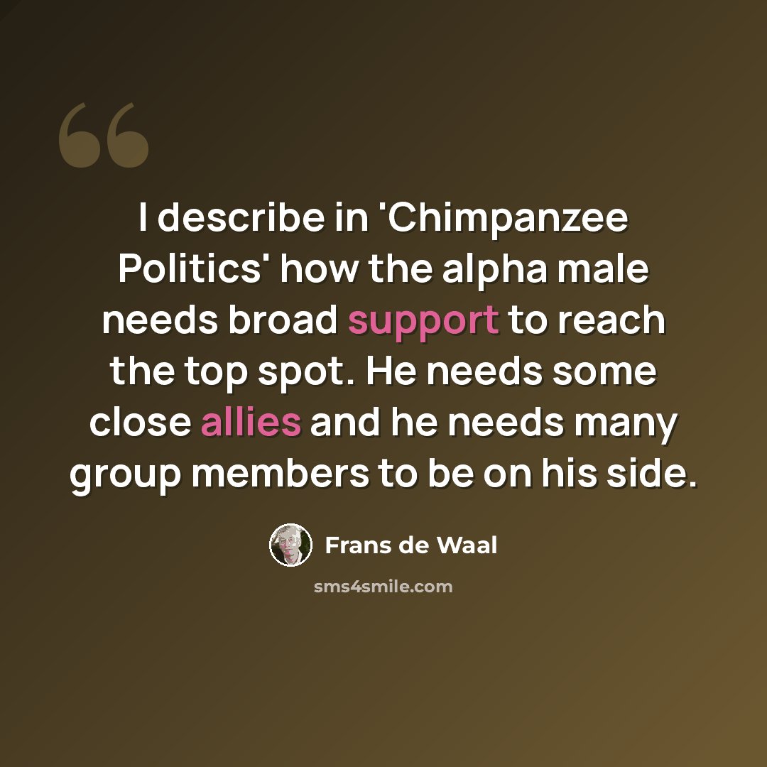 “I describe in 'Chimpanzee Politics' how the alpha male needs broad support to reach the top spot. He needs some close allies and he needs many group members to be on his side.” quote by Frans de Waal