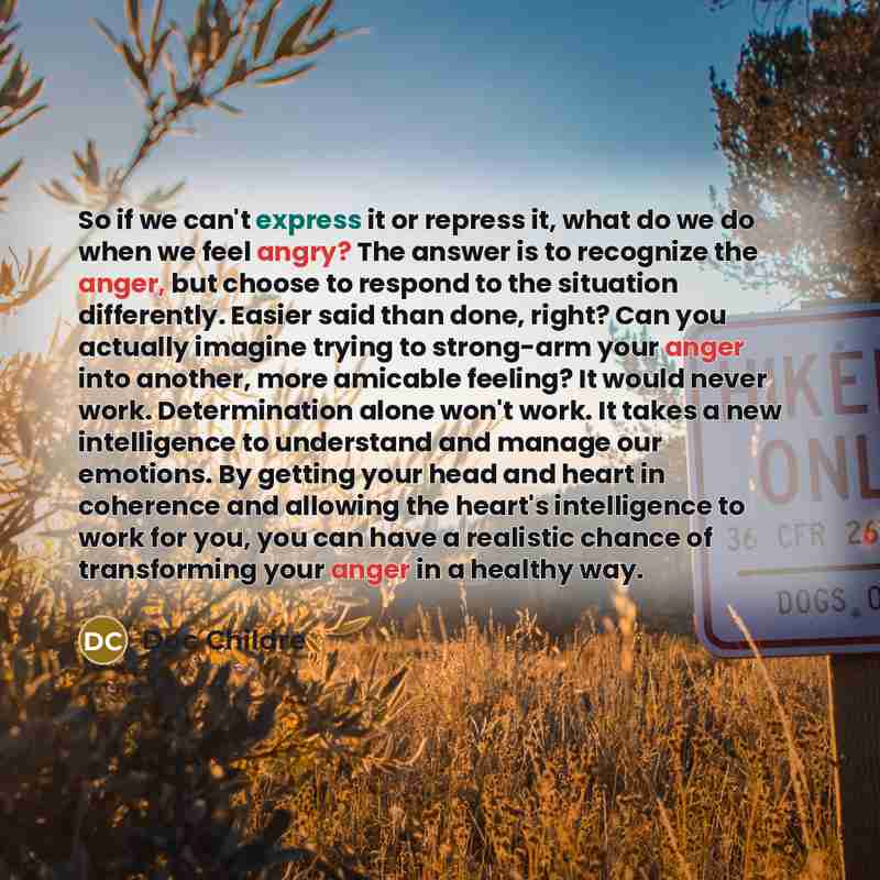 “So if we can't express it or repress it, what do we do when we feel angry? The answer is to recognize the anger, but choose to respond to the situation differently. Easier said than done, right? Can you actually imagine trying to strong-arm your anger into another, more amicable feeling? It would…” quote by Doc Childre