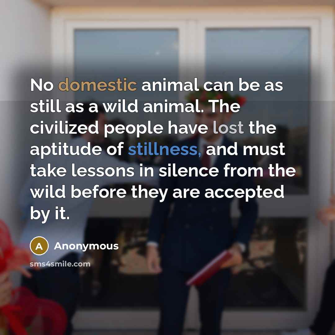 “No domestic animal can be as still as a wild animal. The civilized people have lost the aptitude of stillness, and must take lessons in silence from the wild before they are accepted by it.” quote by Anonymous