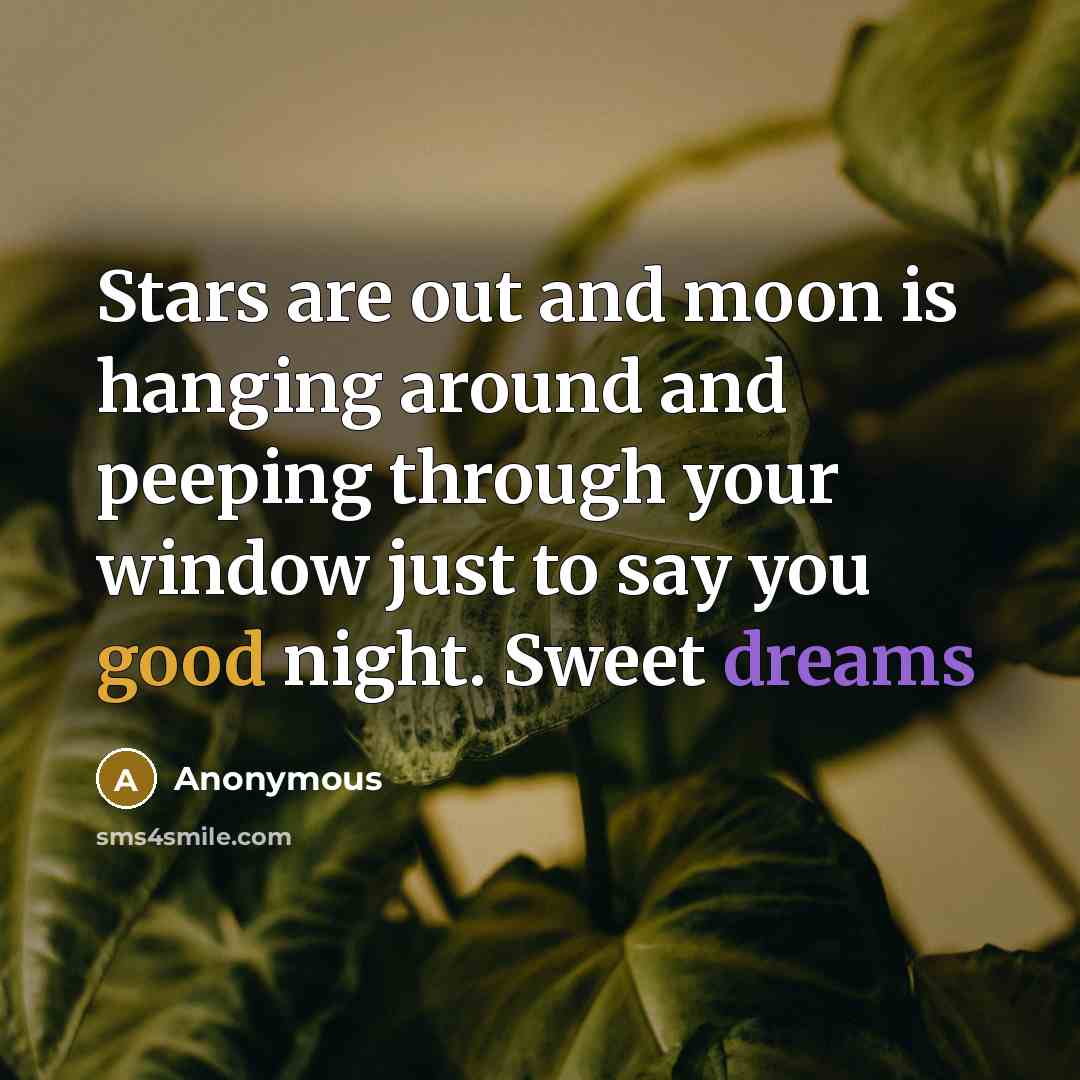 “Stars are out and moon is hanging around and peeping through your window just to say you good night. Sweet dreams” quote by Anonymous