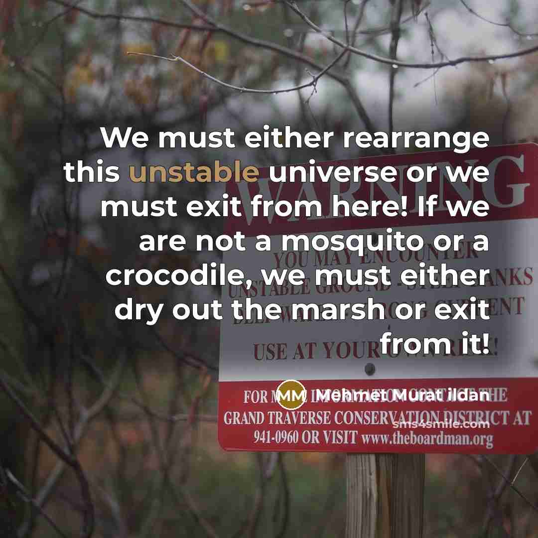 “We must either rearrange this unstable universe or we must exit from here! If we are not a mosquito or a crocodile, we must either dry out the marsh or exit from it!” quote by Mehmet Murat Ildan