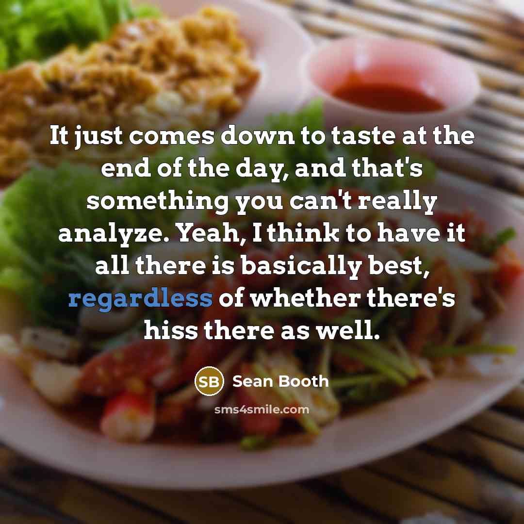 “It just comes down to taste at the end of the day, and that's something you can't really analyze. Yeah, I think to have it all there is basically best, regardless of whether there's hiss there as well.” quote by Sean Booth