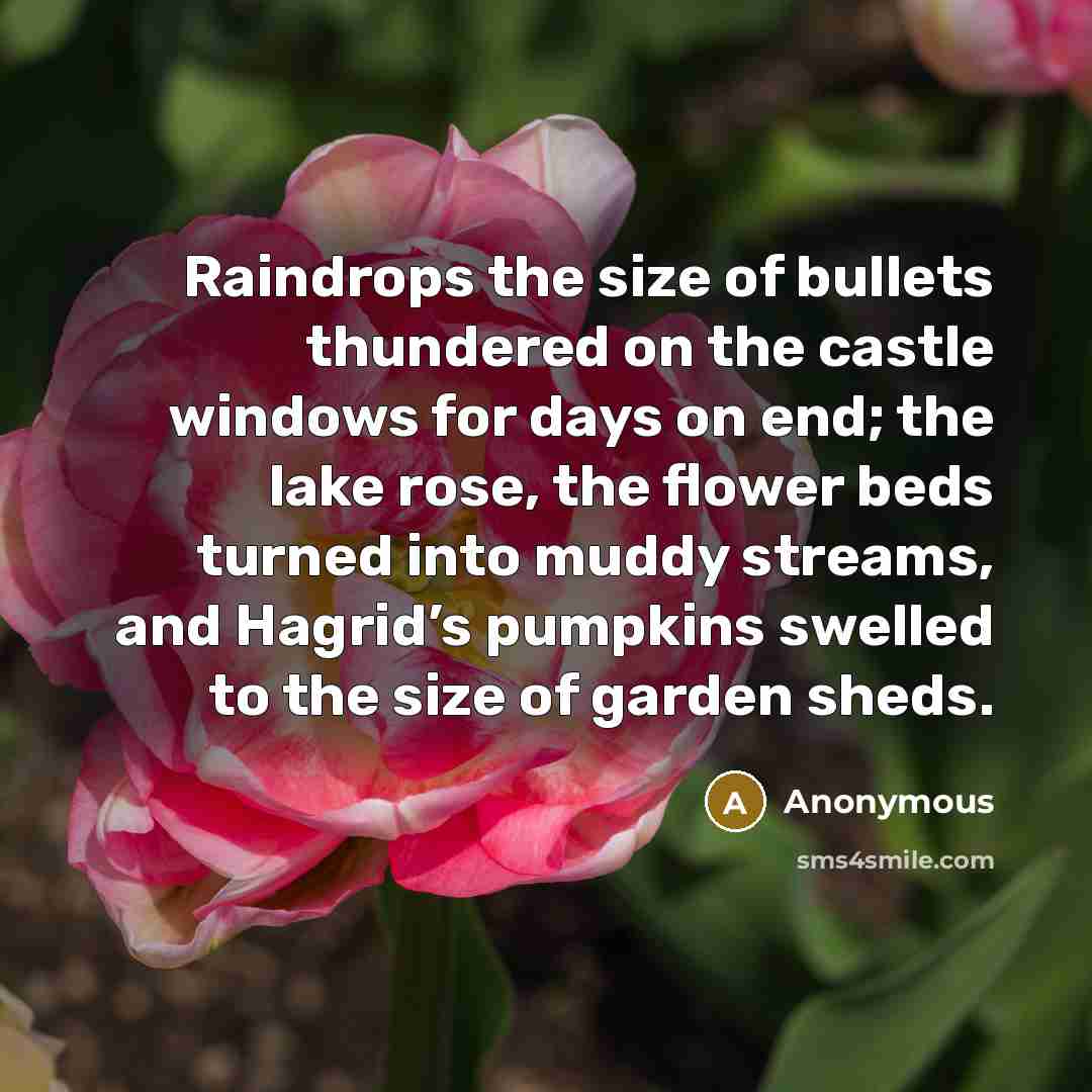 “Raindrops the size of bullets thundered on the castle windows for days on end; the lake rose, the flower beds turned into muddy streams, and Hagrid’s pumpkins swelled to the size of garden sheds.” quote by Anonymous
