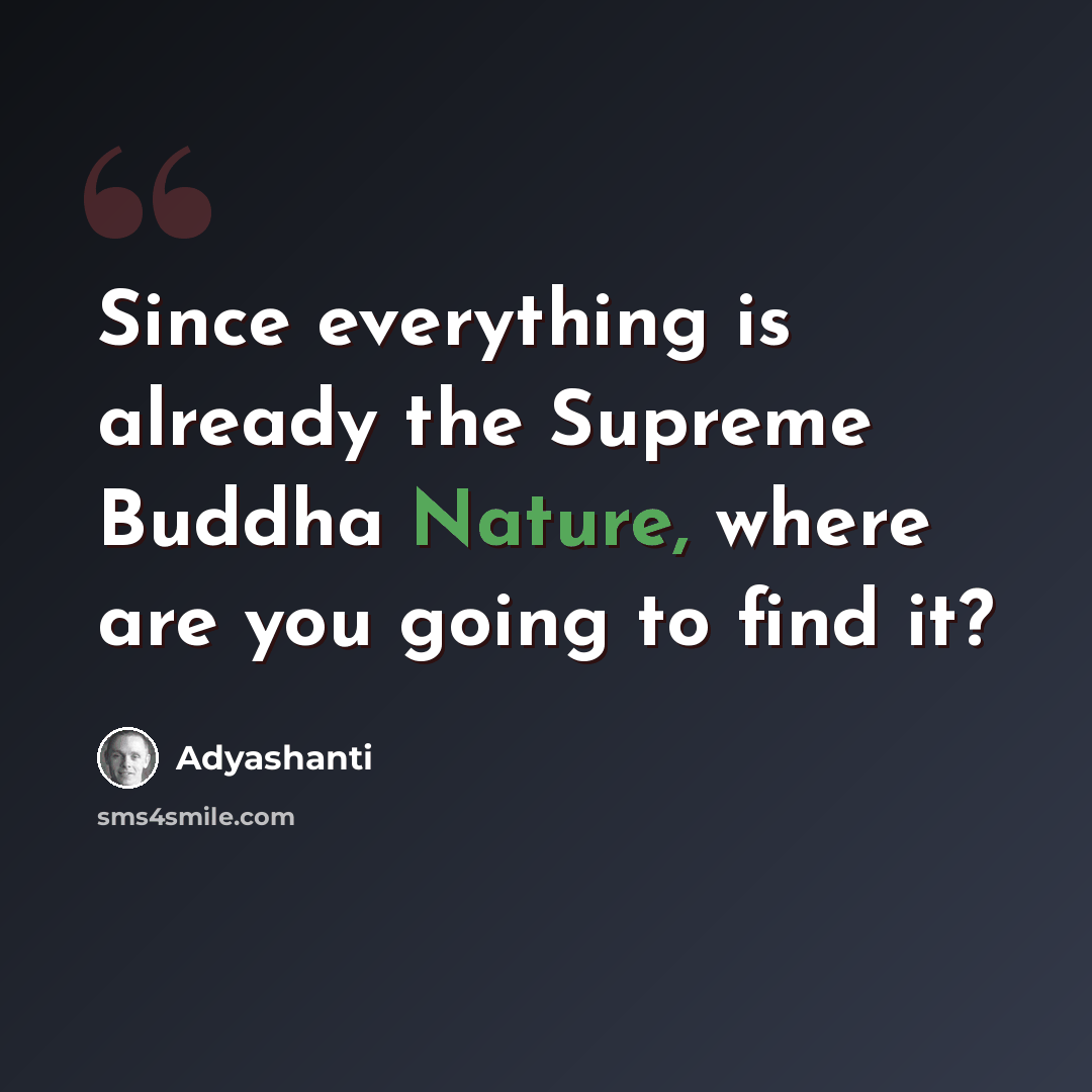 “Since everything is already the Supreme Buddha Nature, where are you going to find it?” quote by Adyashanti