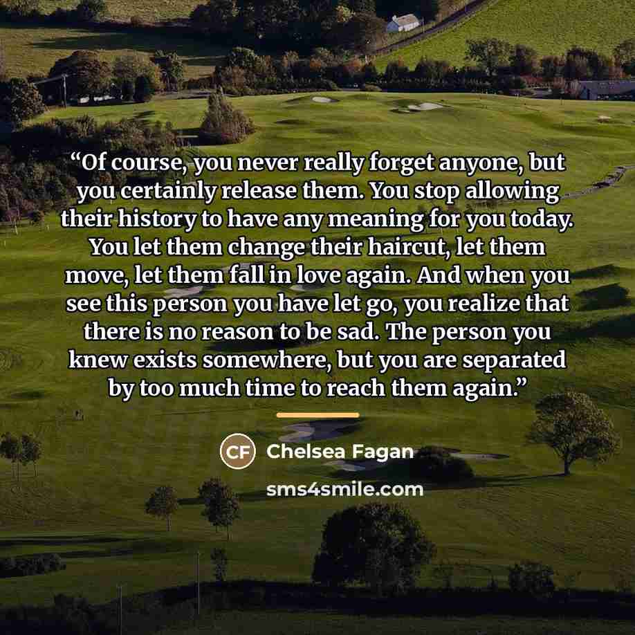 “Of course, you never really forget anyone, but you certainly release them. You stop allowing their history to have any meaning for you today. You let them change their haircut, let them move, let them fall in love again. And when you see this person you have let go, you realize that there is no…” quote by Chelsea Fagan