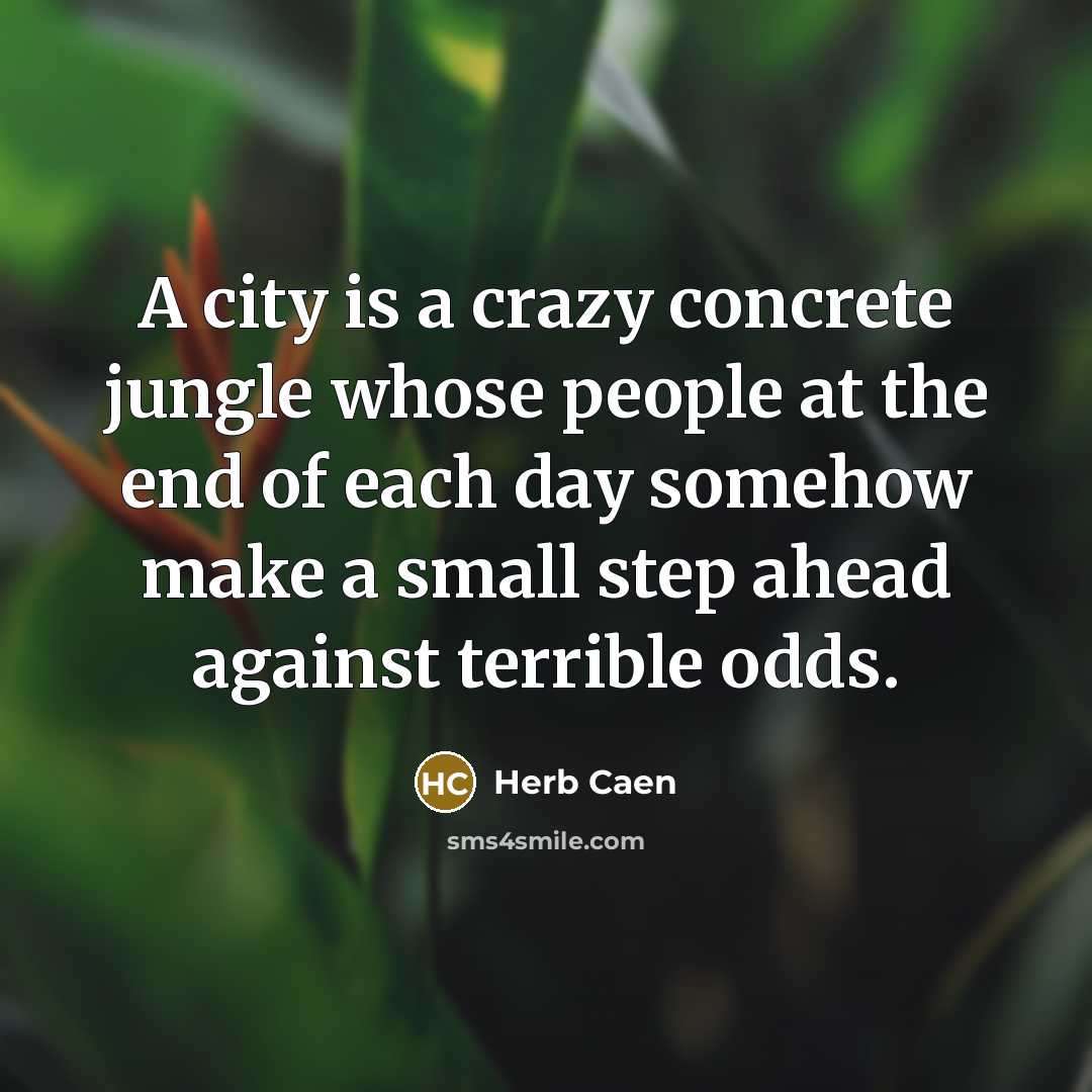 “A city is a crazy concrete jungle whose people at the end of each day somehow make a small step ahead against terrible odds.” quote by Herb Caen