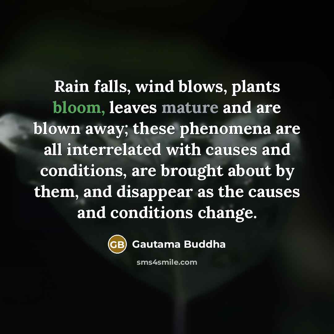 “Rain falls, wind blows, plants bloom, leaves mature and are blown away; these phenomena are all interrelated with causes and conditions, are brought about by them, and disappear as the causes and conditions change.” quote by Gautama Buddha
