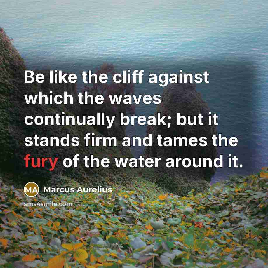 “Be like the cliff against which the waves continually break; but it stands firm and tames the fury of the water around it.” quote by Marcus Aurelius