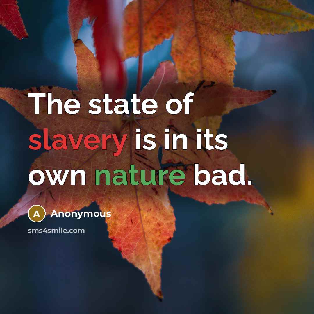 “The state of slavery is in its own nature bad.” quote by Anonymous