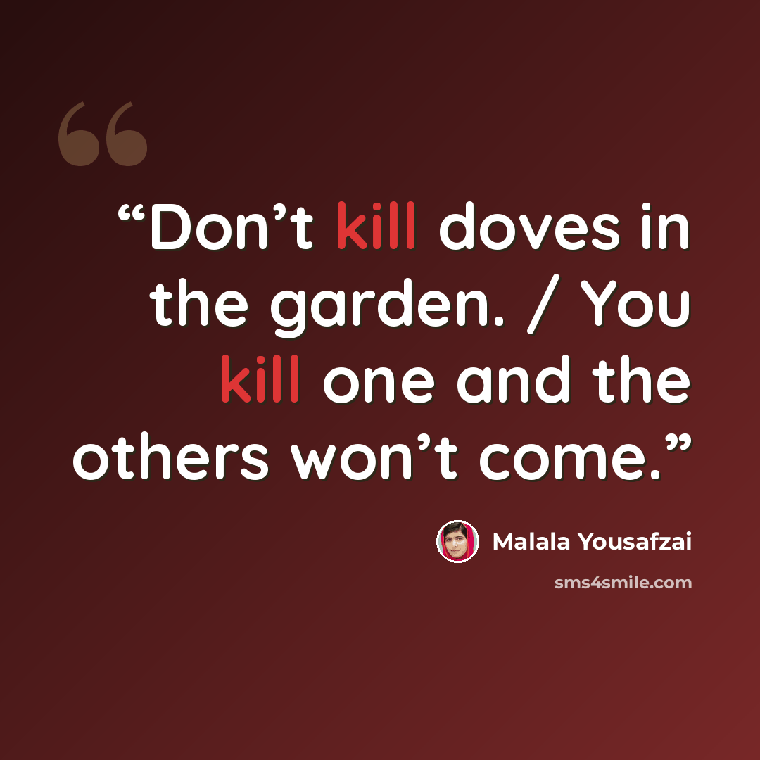 “Don’t kill doves in the garden. / You kill one and the others won’t come.” quote by Malala Yousafzai