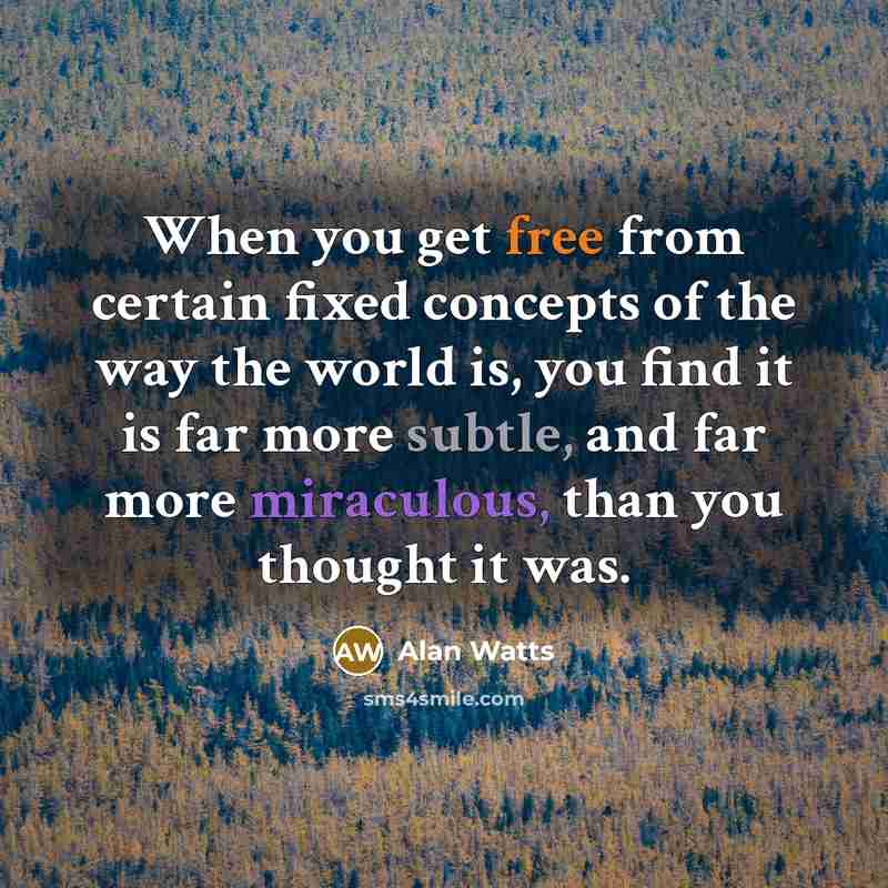 “When you get free from certain fixed concepts of the way the world is, you find it is far more subtle, and far more miraculous, than you thought it was.” quote by Alan Watts